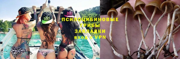 ALPHA-PVP Медногорск