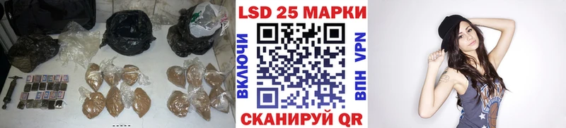 дарнет шоп  Бикин  Лсд 25 экстази ecstasy 